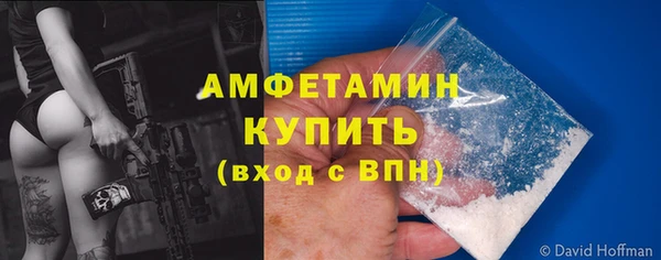 прущие грибы Беломорск
