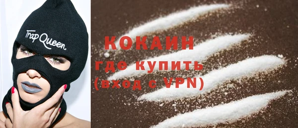прущие грибы Беломорск