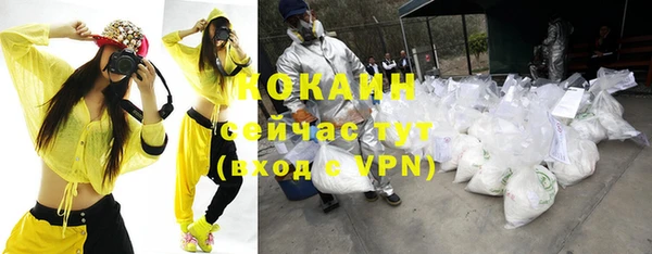 прущие грибы Беломорск