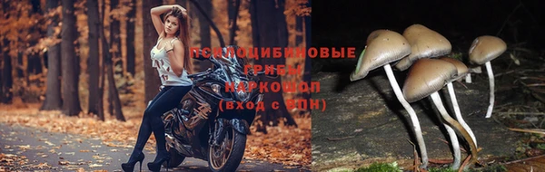 мяу мяу кристалл Белокуриха